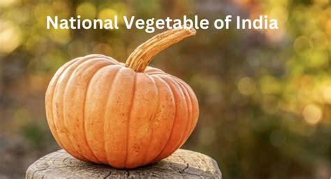 national vegetable in india