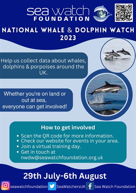 national whale and dolphin watch 2023