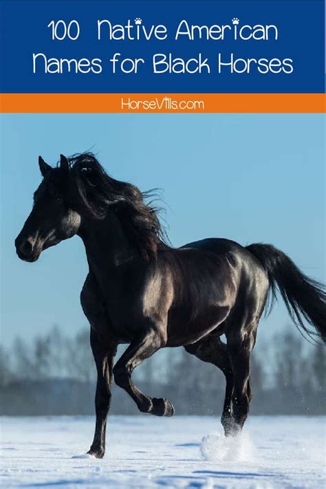 Native American Horse Names Scrolled on Leather