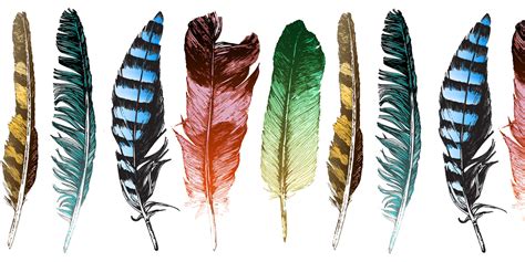 Native American Feather Colorization Honor