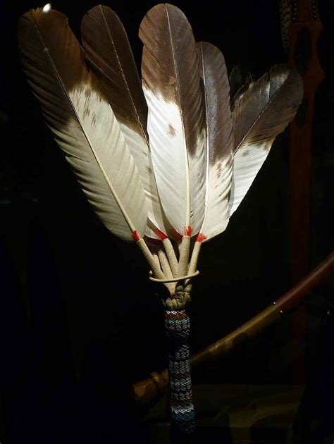 Native American Feather Colorization Preservation