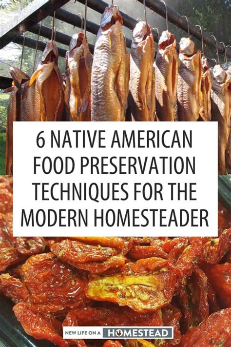 native american food preservation