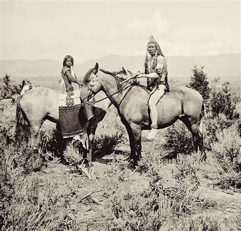 native american horse nation