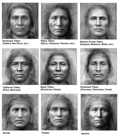 Exploring the Distinctive Facial Features of Native American Tribes: A Look into their Rich Cultural Heritage