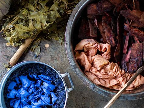 Native Plants Used For Dyes
