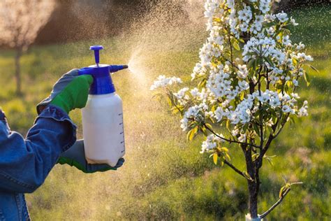 natural alternatives to pesticides