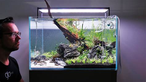 Natural Aquarium Setup