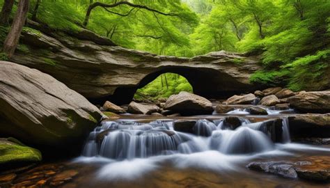 Natural Bridge Activities