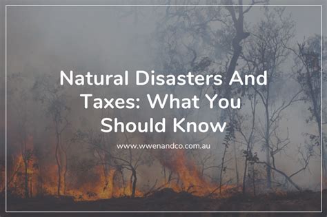 natural disaster and taxes