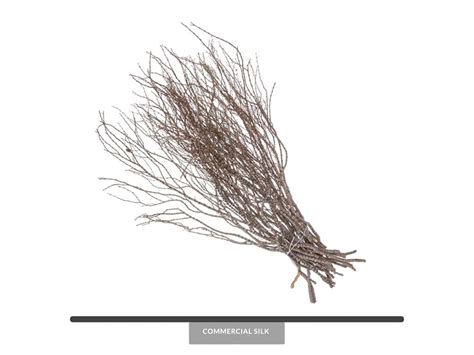 natural dried branches