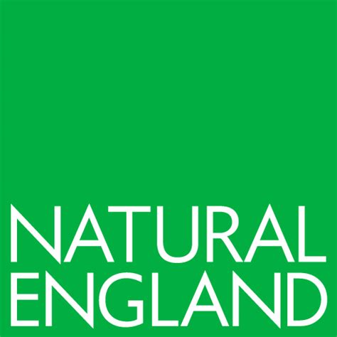 natural england logo png