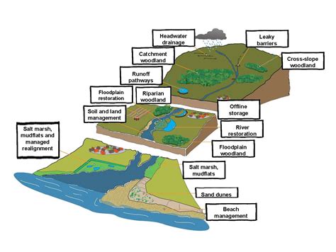 Natural Flood Management Examples
