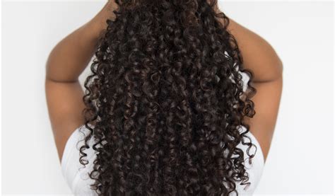 The Natural Hair Definition Curl For New Style