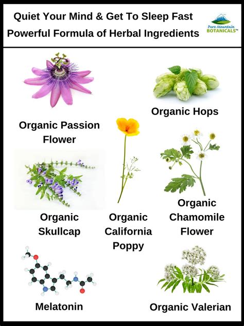 natural herb sleep aid passionflower