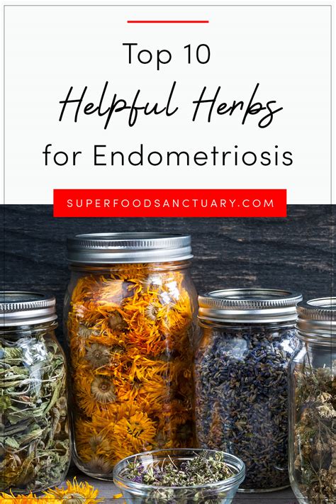 natural herbs for endometriosis