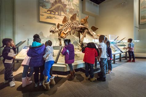 natural history museum field trips