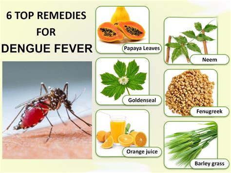 natural home remedies for dengue fever