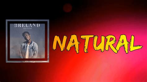 Zayn Natural [Lyrics/Lyric] YouTube