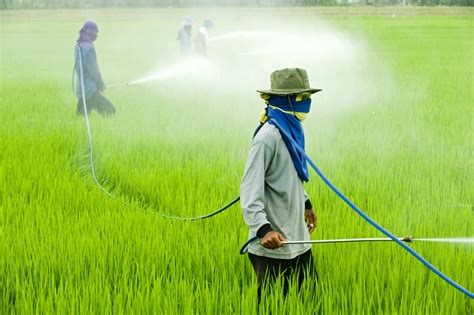 natural pesticides for agriculture