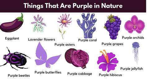 Natural Purple Objects