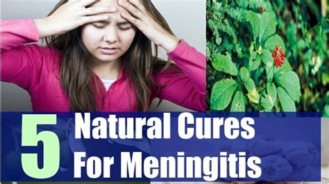 natural remedies for meningitis