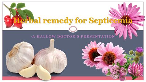 natural treatment for sepsis