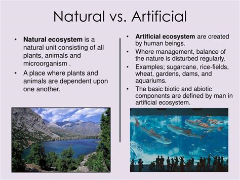 Natural Vs Artificial Environment