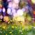 nature rive bokeh background hd