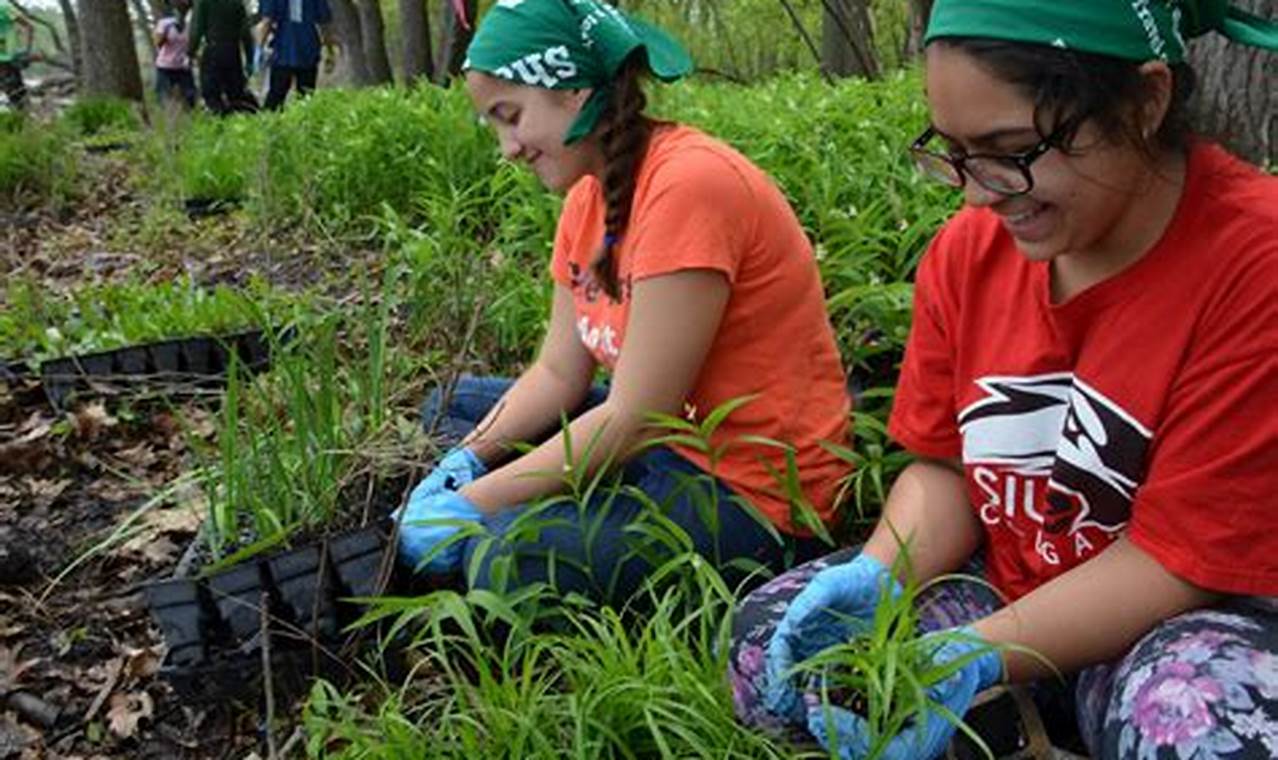 Nature Volunteering: A Rewarding Way to Give Back