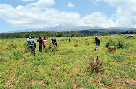 Tsavo Conservation Area, Kenya Ujuzi African Travel