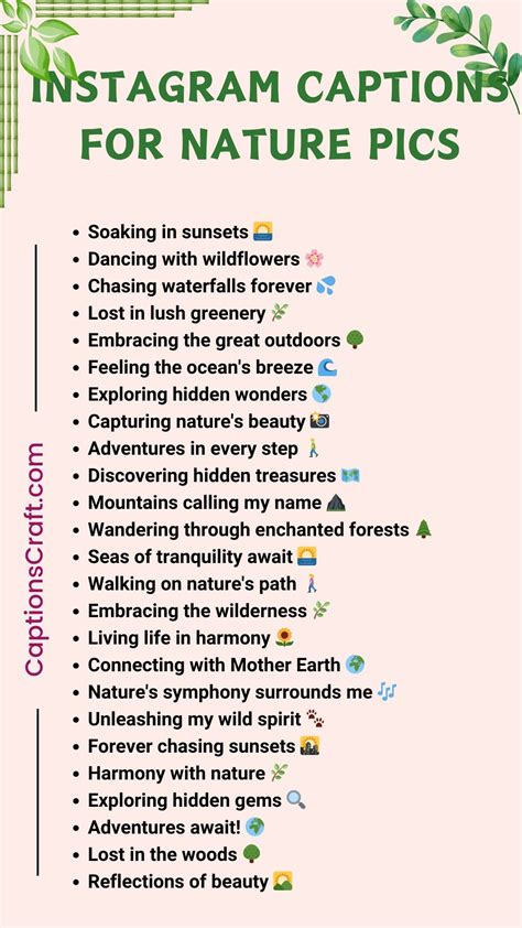 Nature Explore Captions