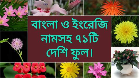 nature meaning in bengali