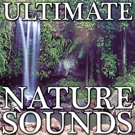 nature sounds 8 hours