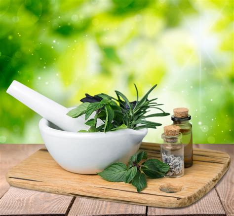 Natures Herb And Wellness: Embracing The Power Of Nature For Optimal Wellbeing