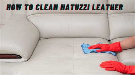 Natuzzi Leather Sofa Cleaning