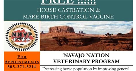 navajo nation veterinary office