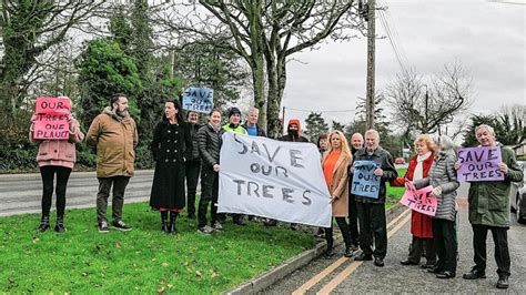 Navan Road Trees