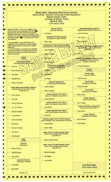 navarro county texas sample ballot