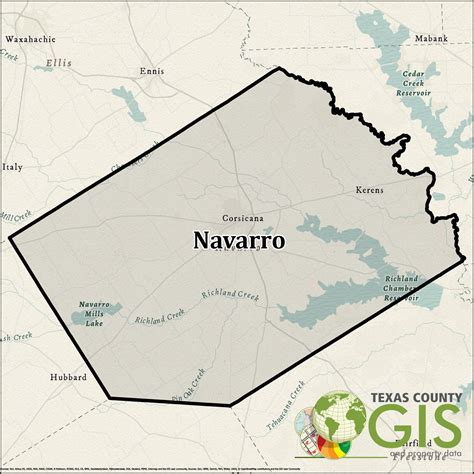 navarro county texas website