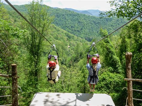 navitat canopy adventures