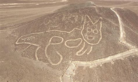 nazca lines cat