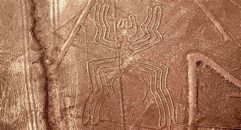 nazca lines tour from ica
