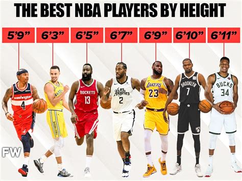Basketball players height chart from shortest to tallest