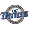 nc dinos live score