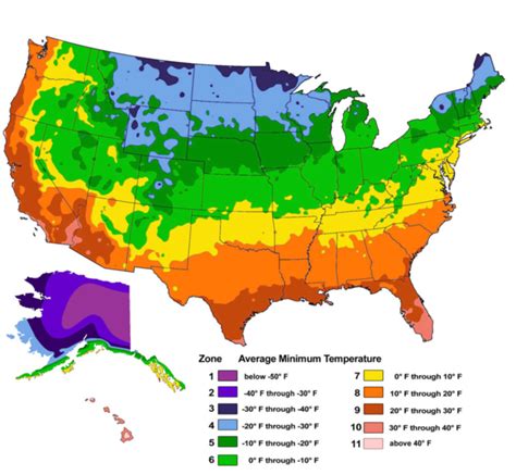 nc planting zone map by zip code
