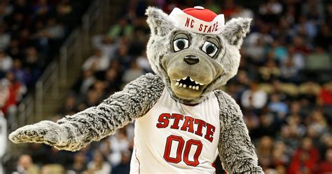 nc state university mascot