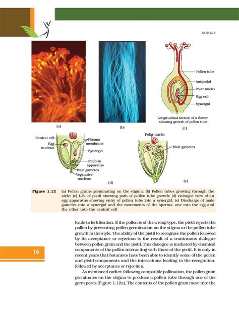 ncert class 12 biology book pdf chapter 1