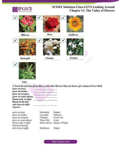 ncert evs class 4 workbook solutions