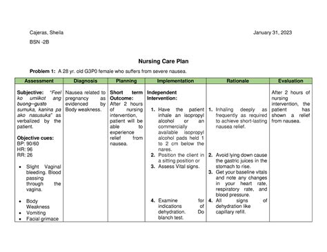 NCP File Format Guide