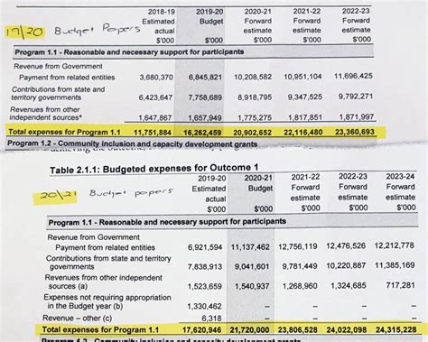 ndis example budget report